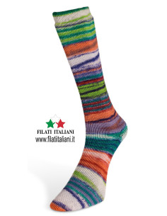 ECS003 FILATO PER CALZETTERIA  ECLECTIC SOCK 100g LANE DU NORD 2